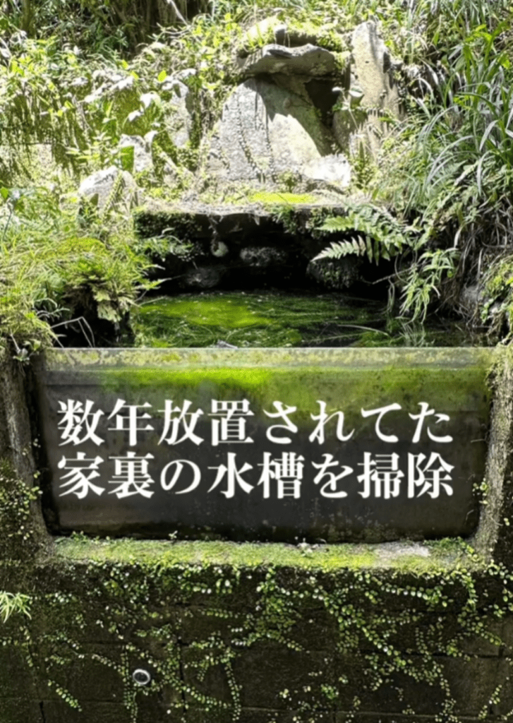 【実際の写真6枚】　アフターの様子