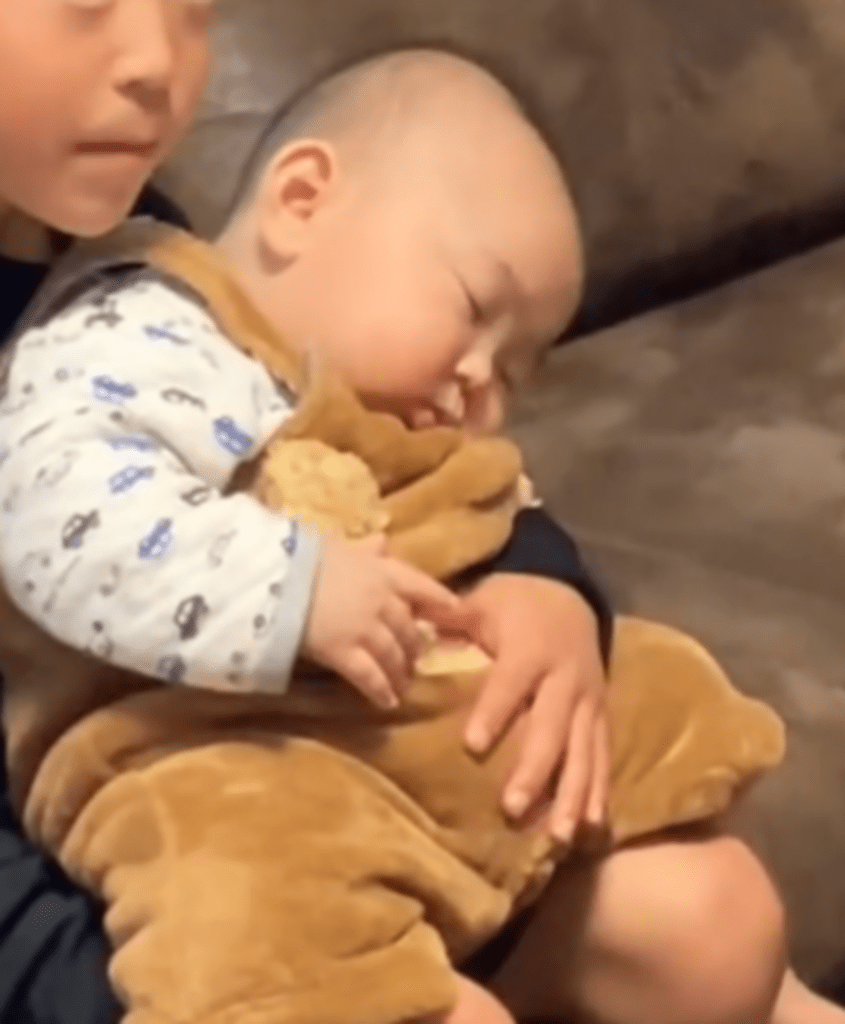 弟くんはぐっすり眠りに（@asekun0509さんより提供）