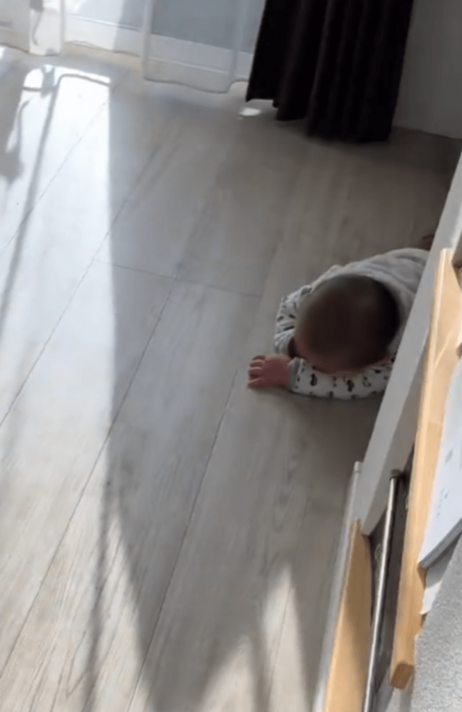 戻ってみると…（@asekun0509さんより提供）