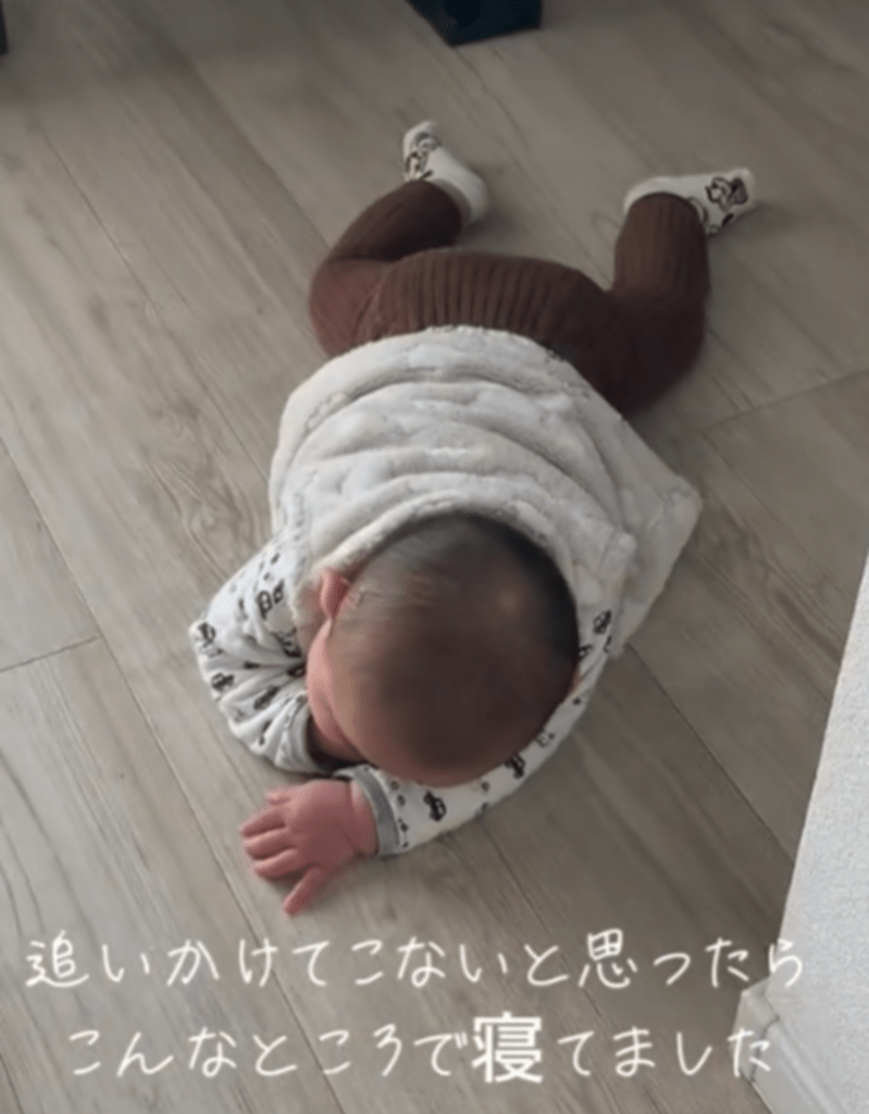 追いかけてこないと思ったら…（@asekun0509さんより提供）