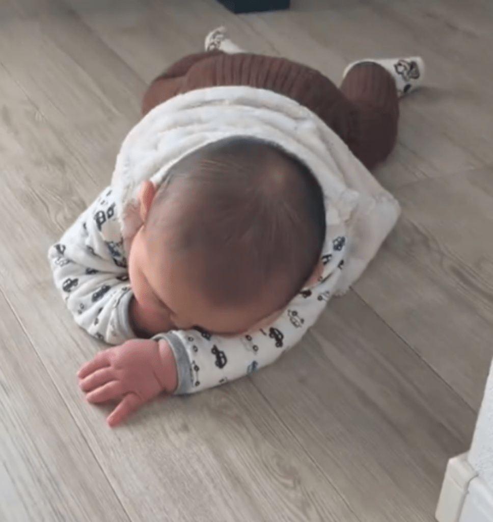 そのまま寝ちゃった（@asekun0509さんより提供）