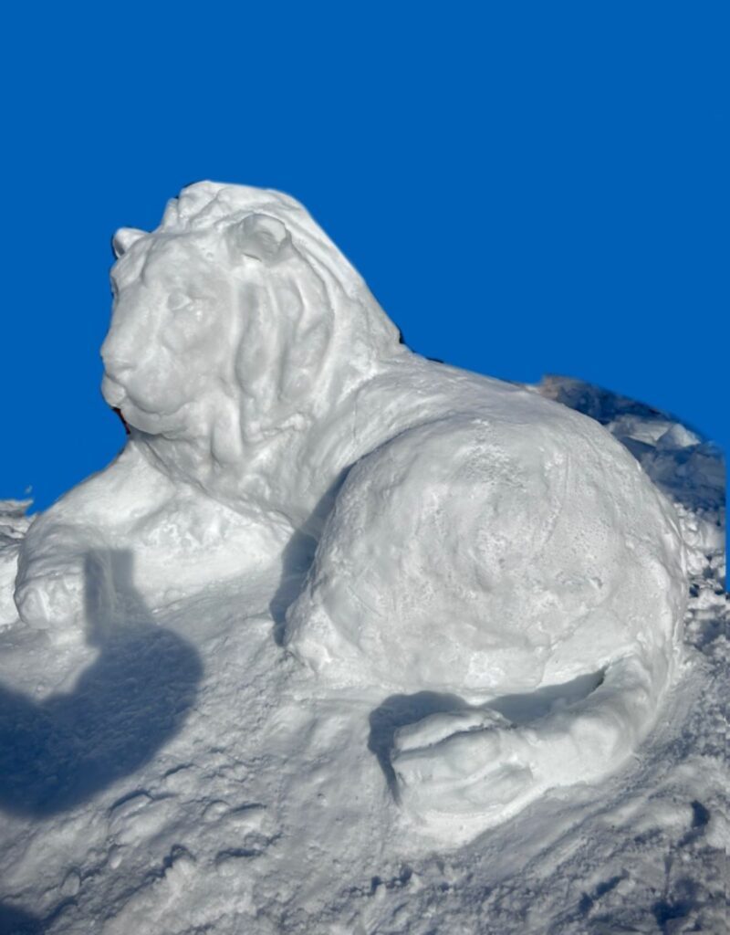 北海道の雪で作ったライオン（@ne_ne_woodさんより提供）