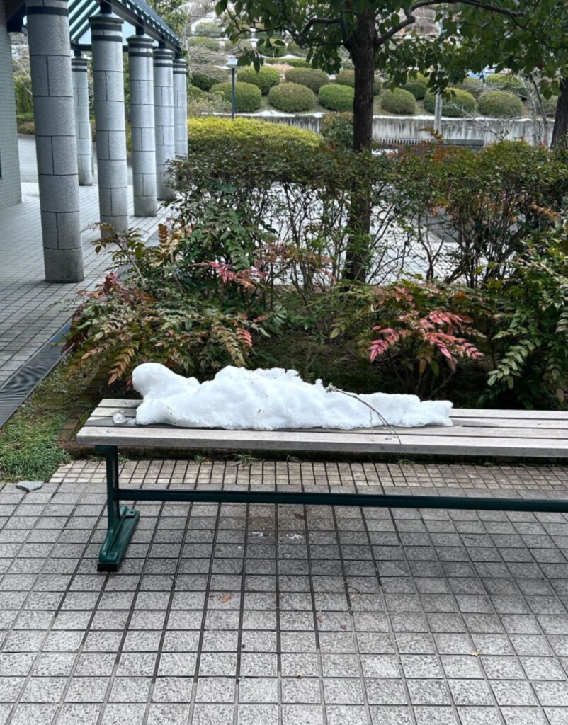 溶けた様子（@ne_ne_woodさんより提供）