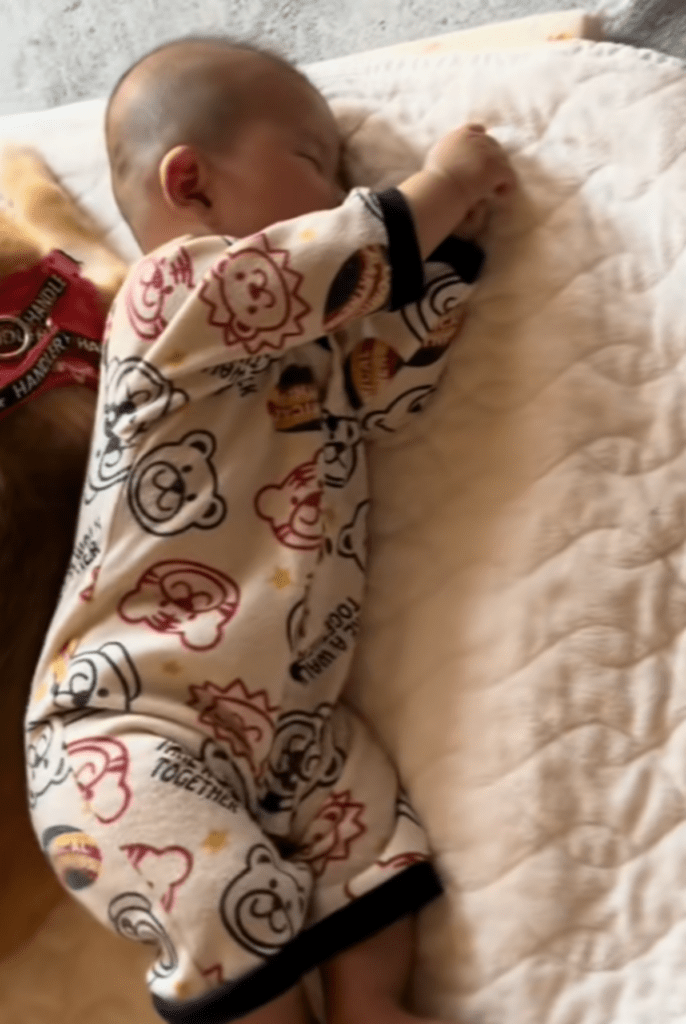 こちらはグッスリ（@nishimura.flamingoさんより提供）