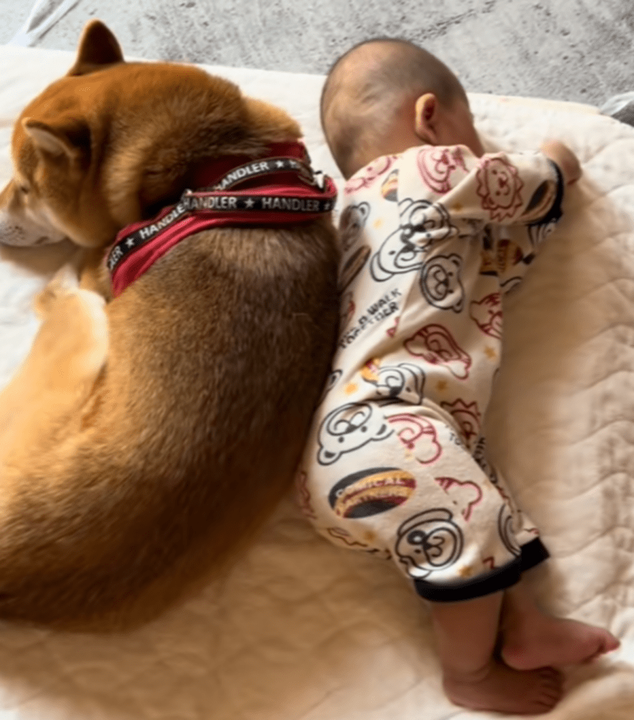 背中もピッタリで仲良しの2人（@nishimura.flamingoさんより提供）