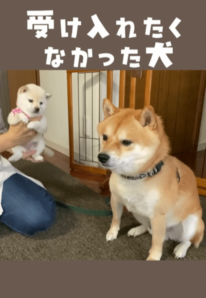 【実際の写真6枚】　現在の姿