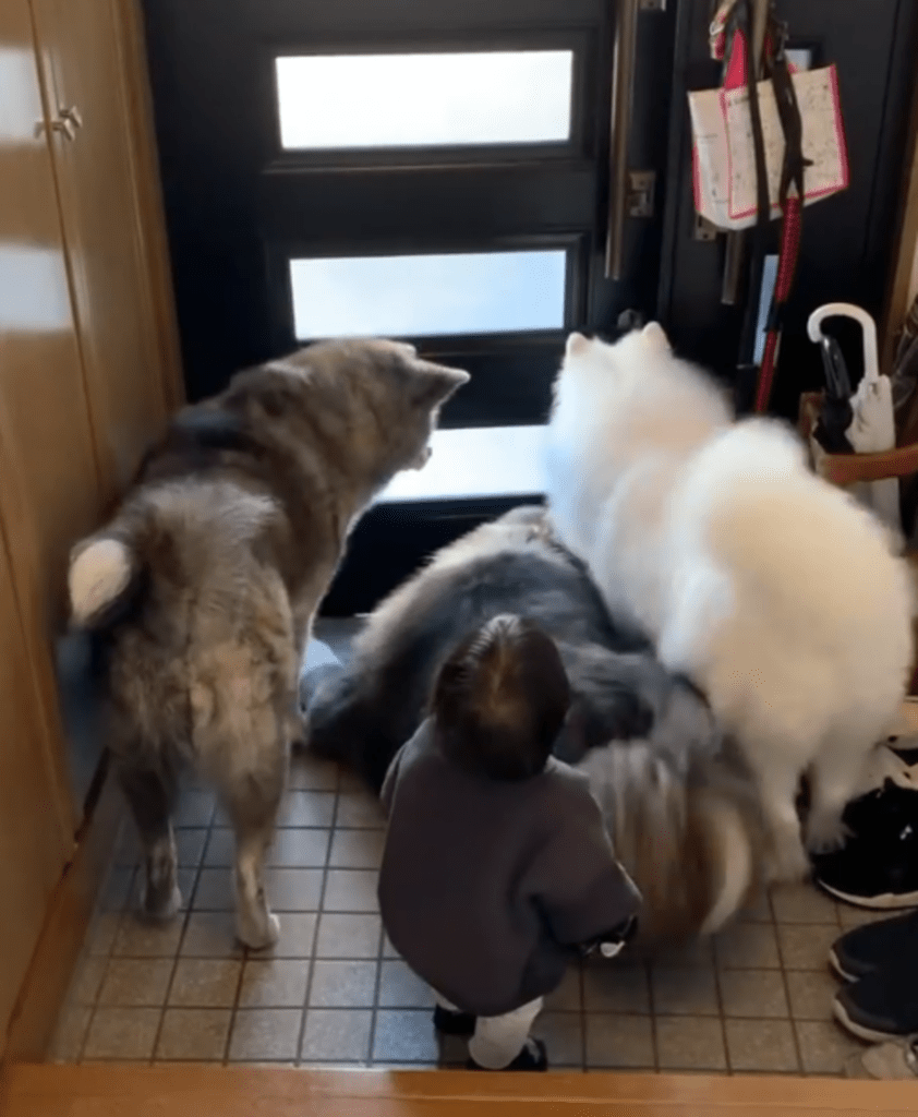 【実際の写真5枚】　父が帰ってきた時の様子