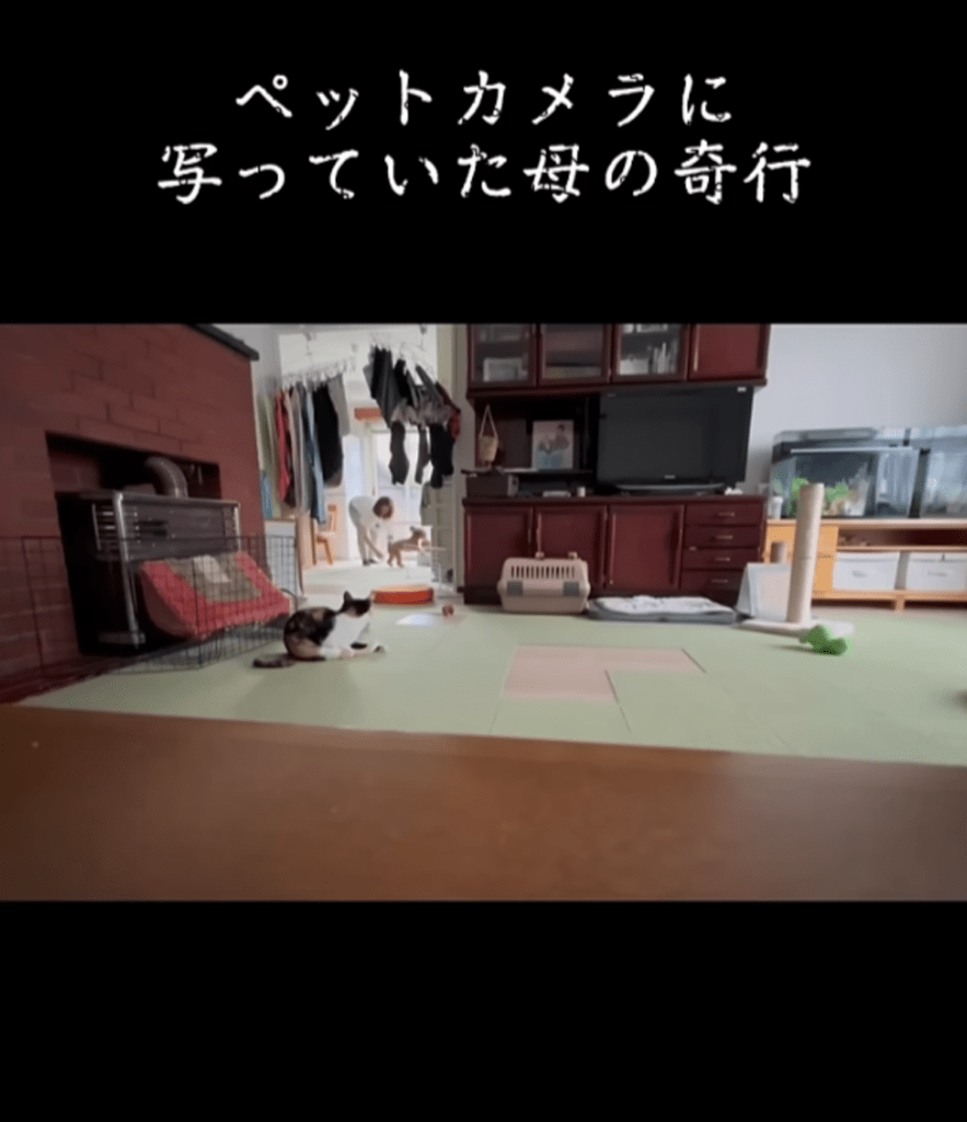 【実際の写真5枚】　カメラに写っていた光景