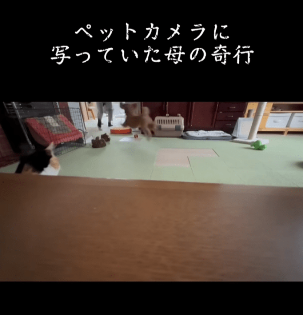 ちゃんと攻守も交代（@ICHINICOさんより提供）