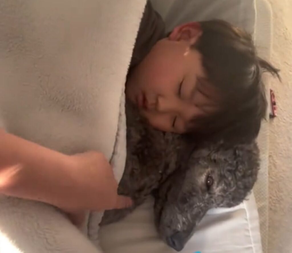 とても幸せそうな様子（＠muchikofujiwaraさんより提供）