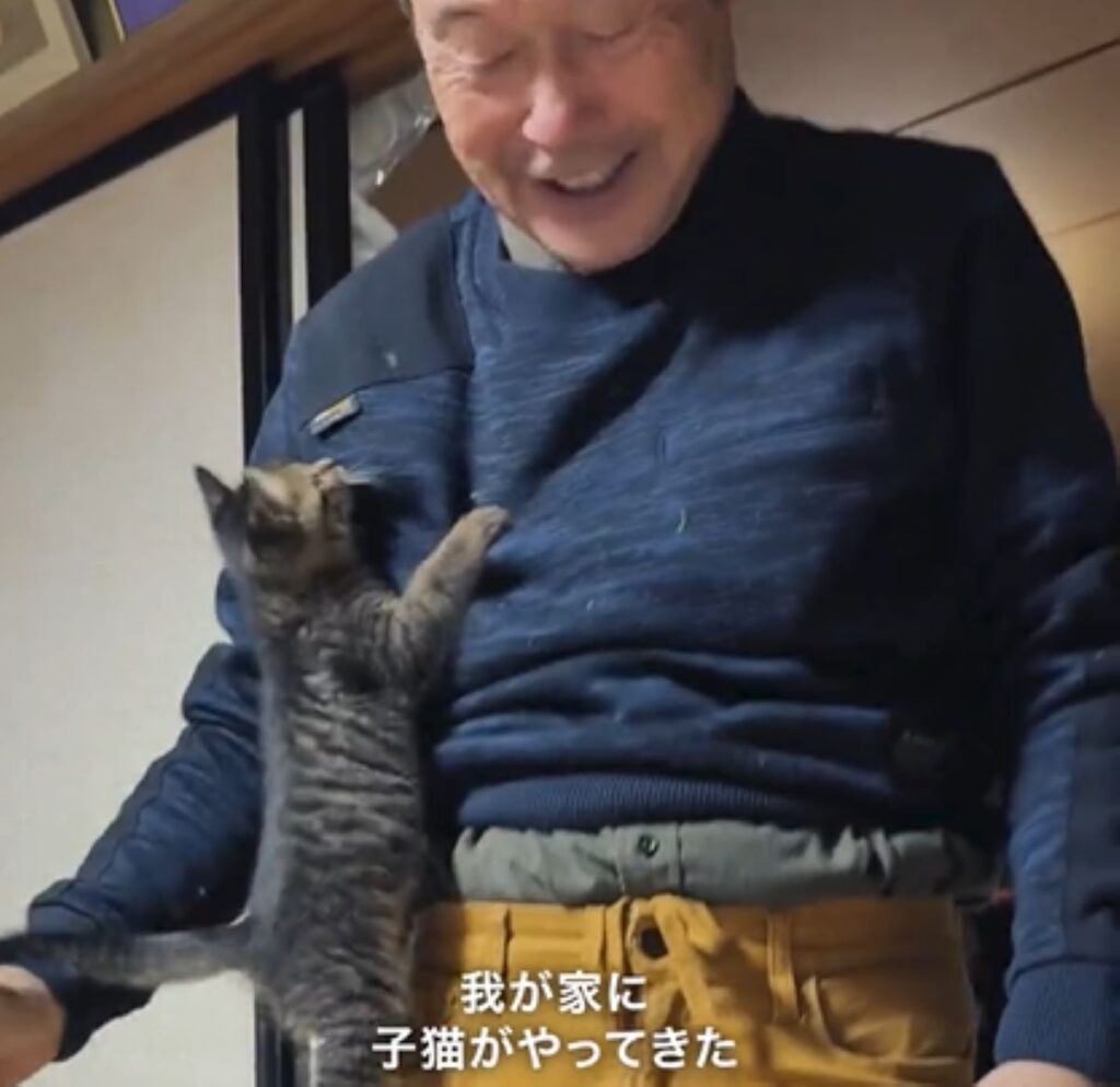 【実際の写真６枚】　猫と父の様子