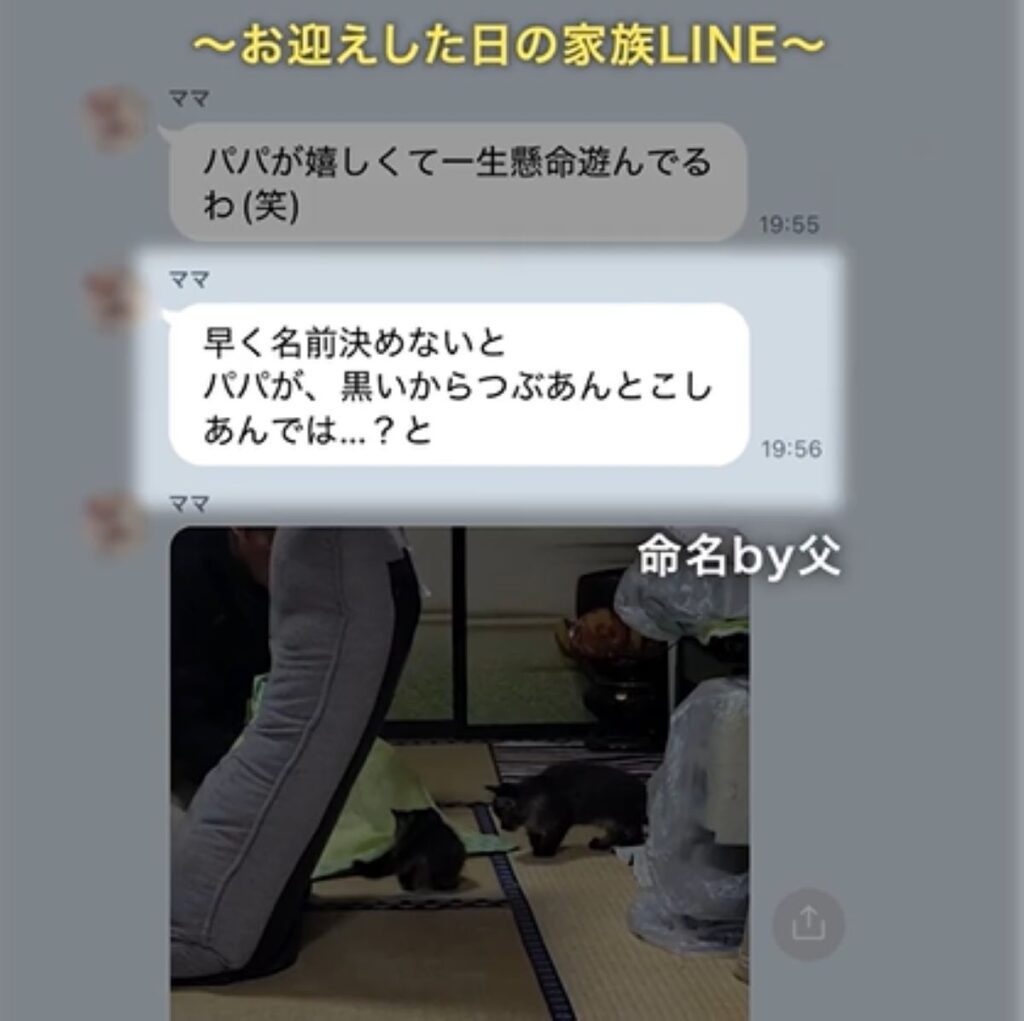 命名はお父さん（＠jamiee294さんより提供）