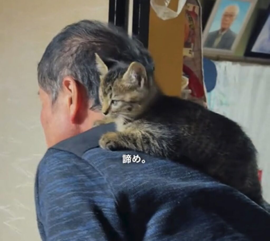 お父さんの背中へ（＠jamiee294さんより提供）