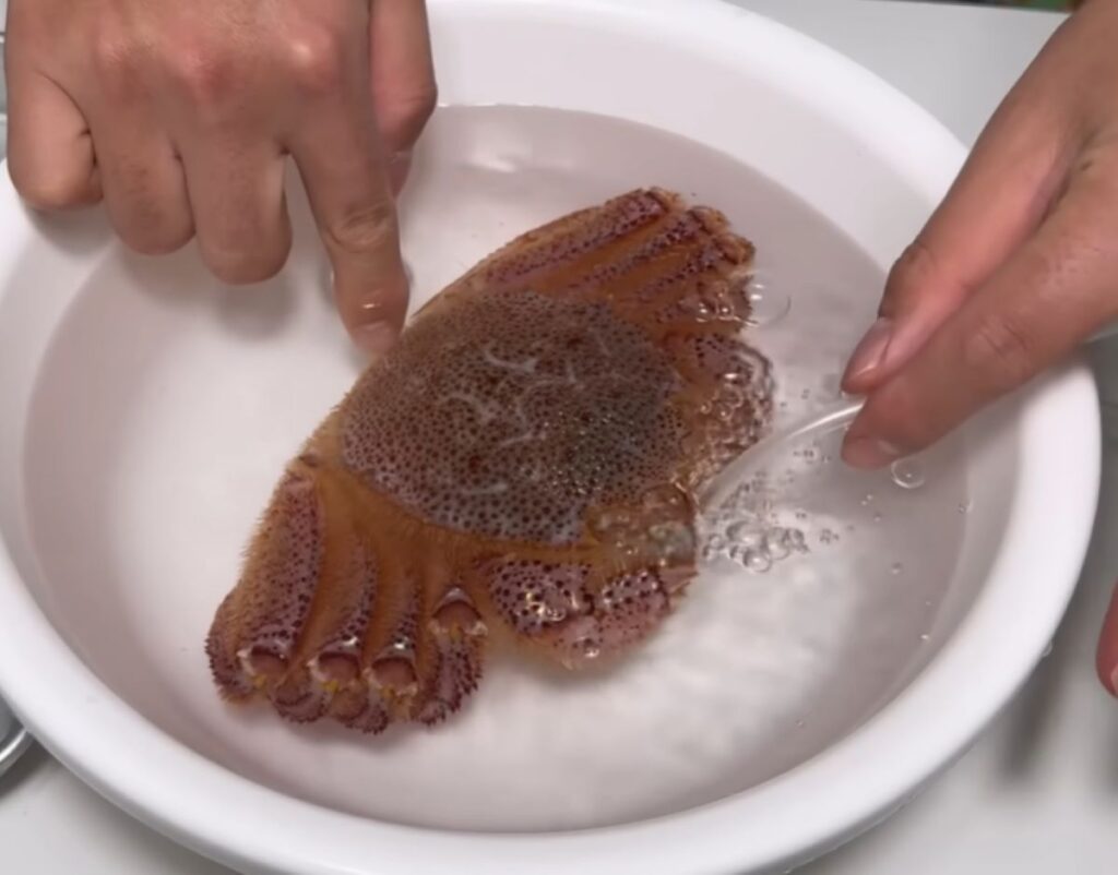 弱っている様子（@waterramenさんより提供）