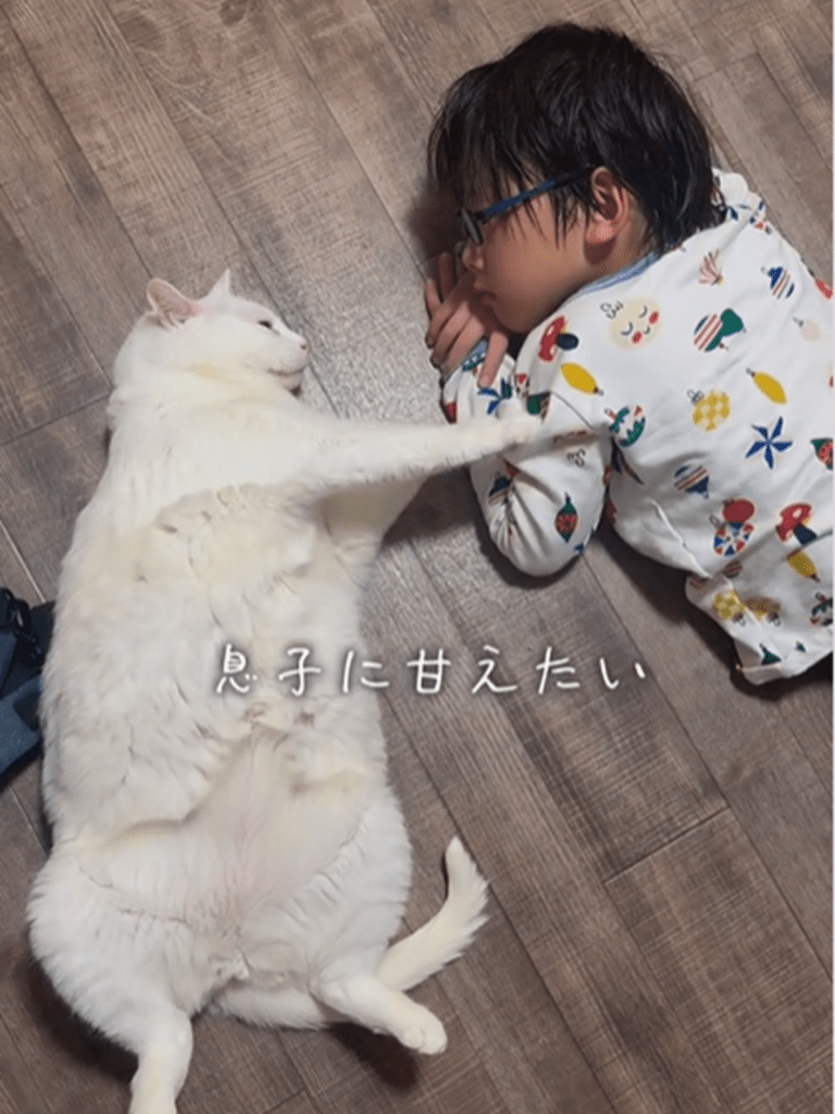 「遊んで」と息子さんに近づくブランちゃん（＠chouchou_cherie_caroさんより提供）