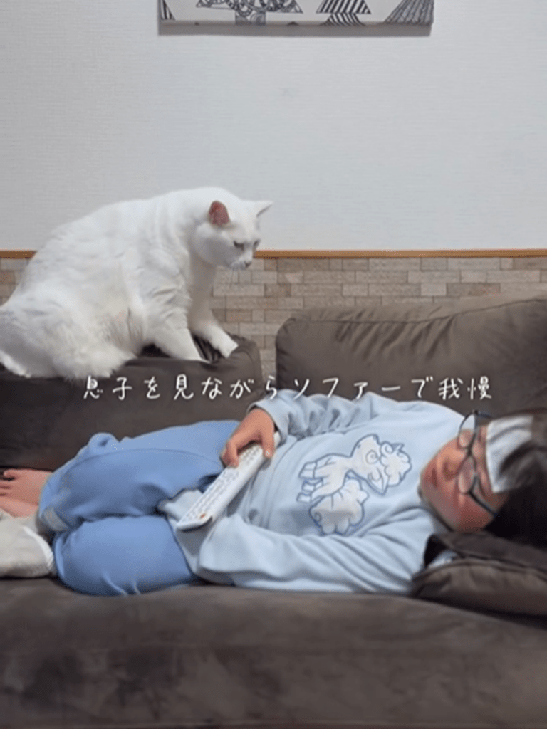 具合の悪そうな息子さんを見守るブランちゃん（＠chouchou_cherie_caroさんより提供）