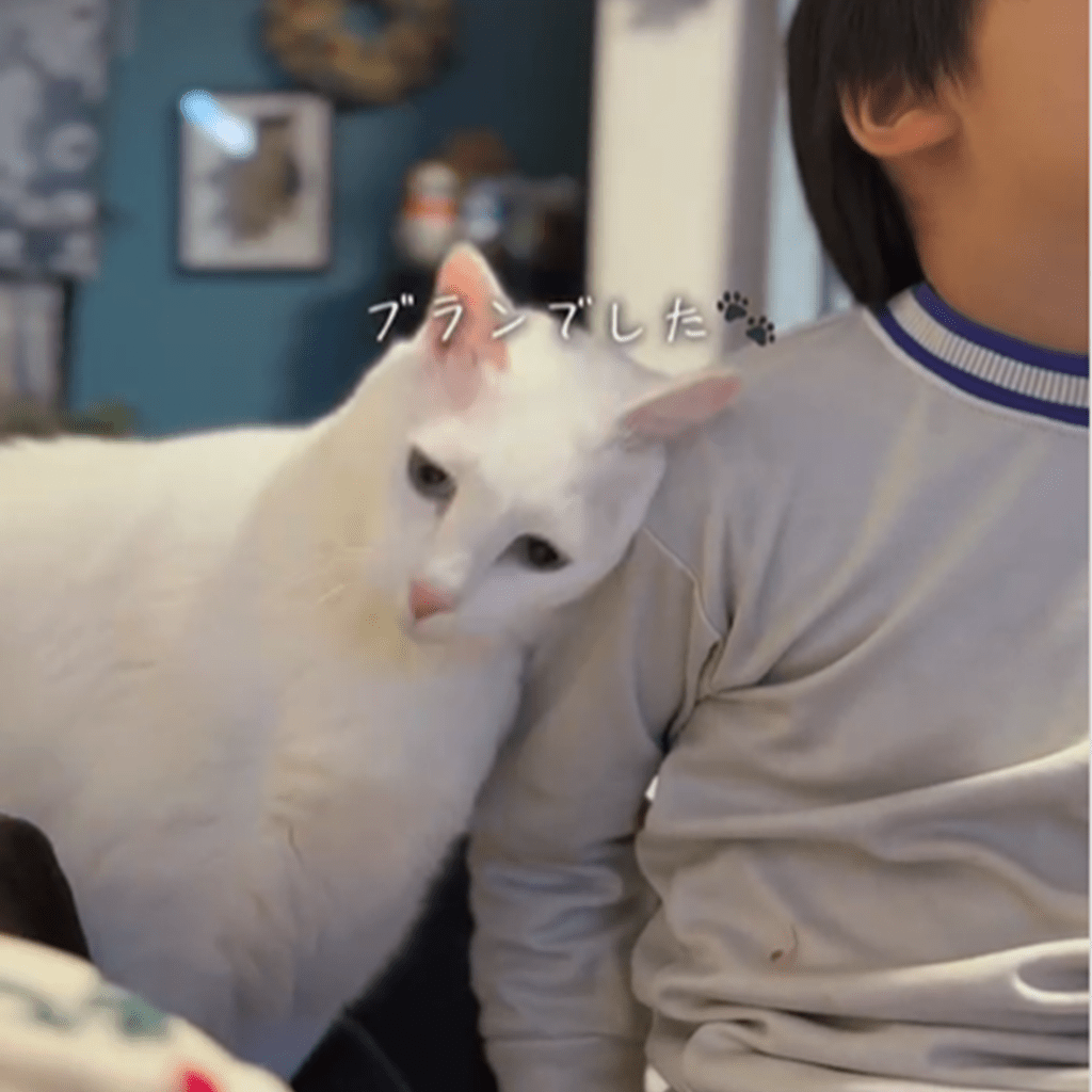 【実際の写真5枚】　ママが見た光景