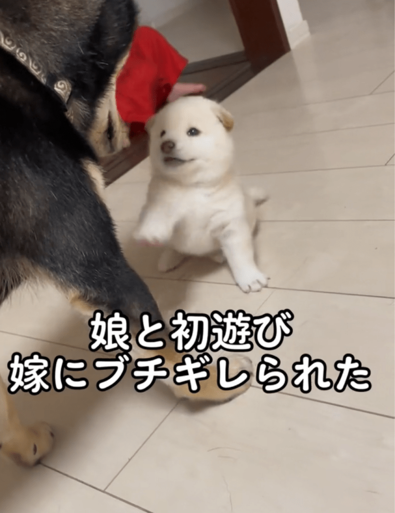 元気なウメちゃん（@uoooooo7818さんより提供）