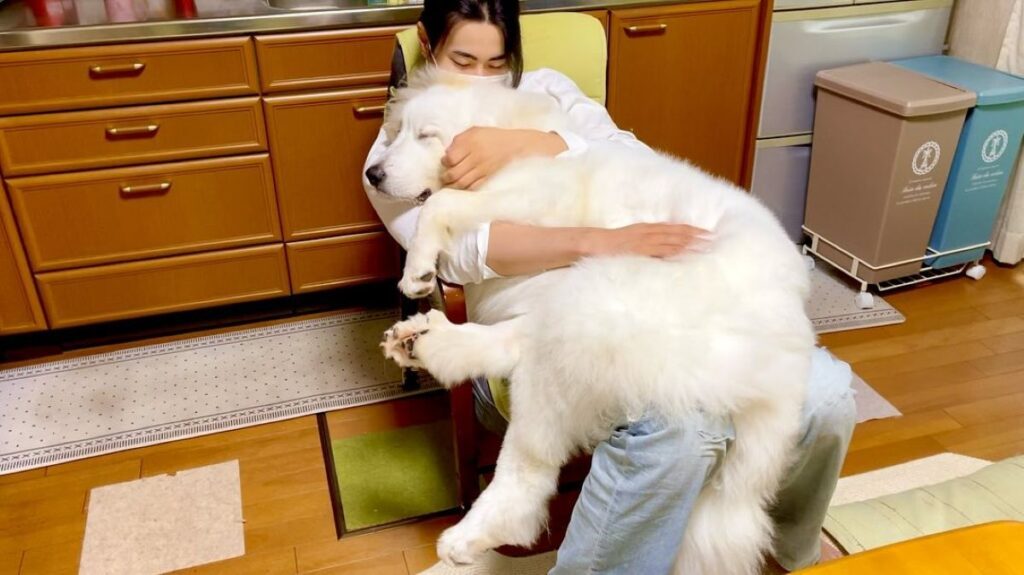 抱っこすると（＠doremi_noutaさんより提供）