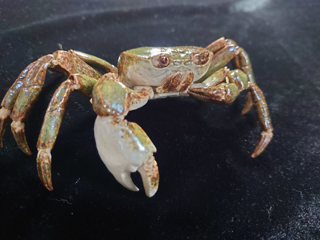 陶器ならではの艶やかさ（@Naoaki_Soneさんより提供）