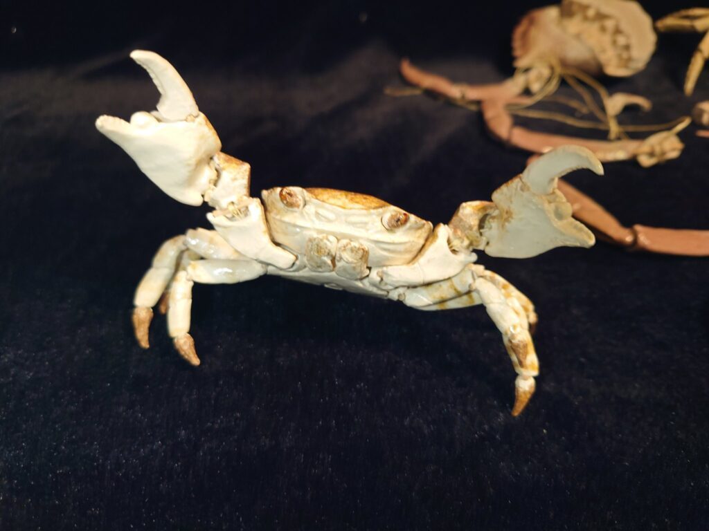 【実際の写真7枚】　衝撃の制作工程