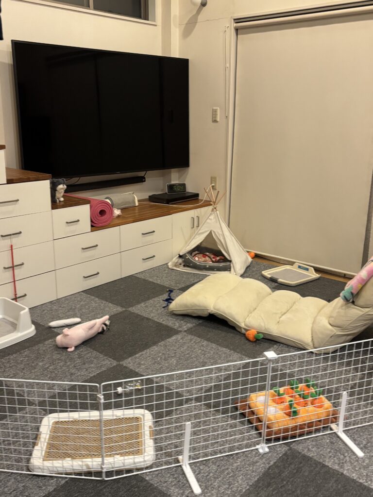 犬のゲージの中。しかしよく見ると…飼い主「！？」→「擬態能力高すぎる」「全然分からん」の声