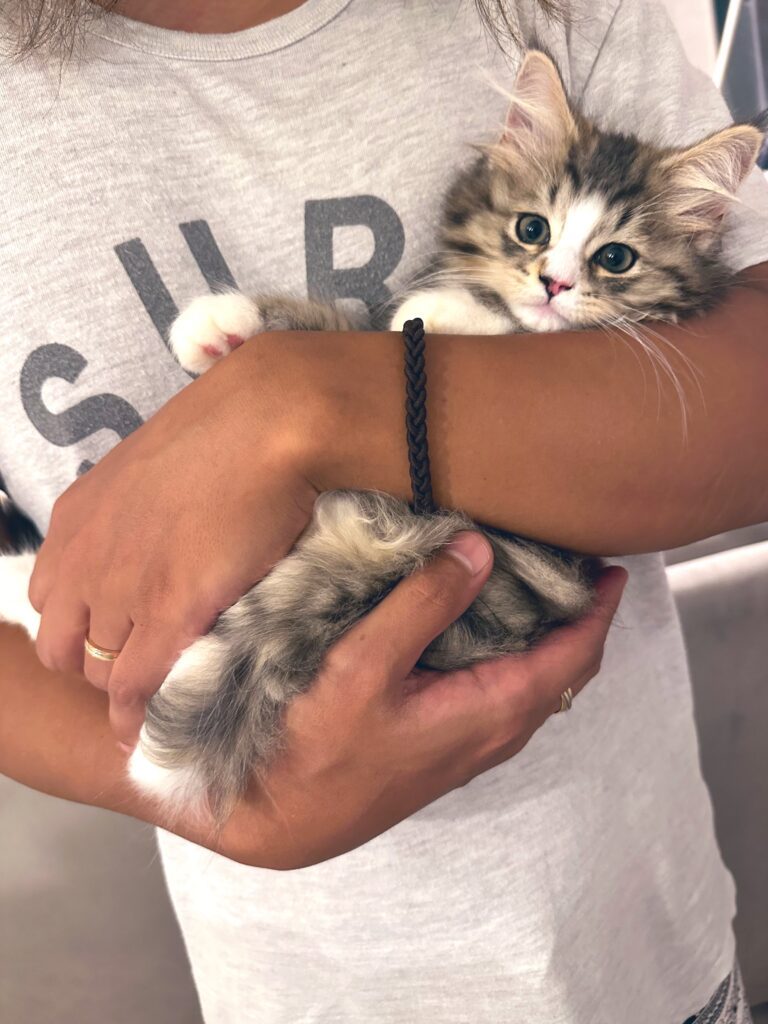 【実際の写真5枚】　6か月後の姿