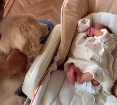 生まれてからずっと一緒の2人……1年後の姿に「ほんとうの兄弟みたい」「可愛い〜」「楽しそう」