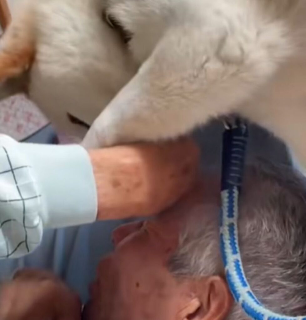 【実際の写真5枚】　じいじを邪魔する生き物