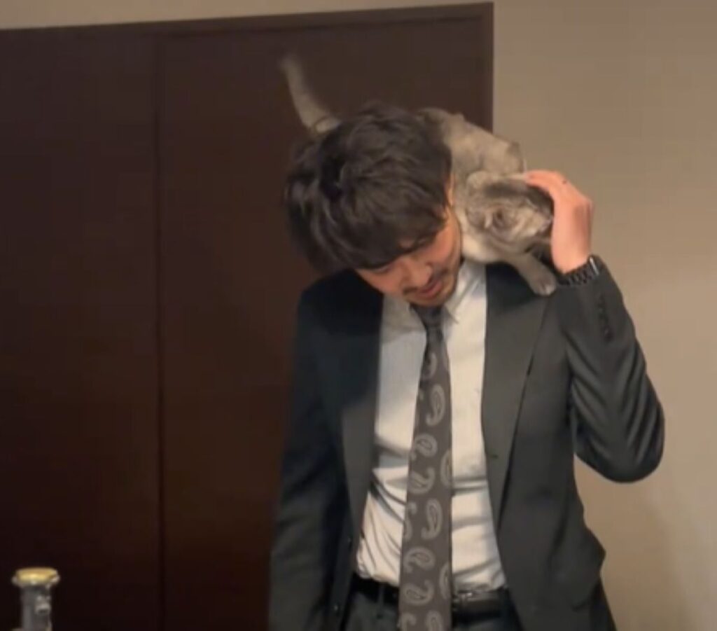 旦那さんの肩に乗ると…（＠mananekonikkiさんより提供）