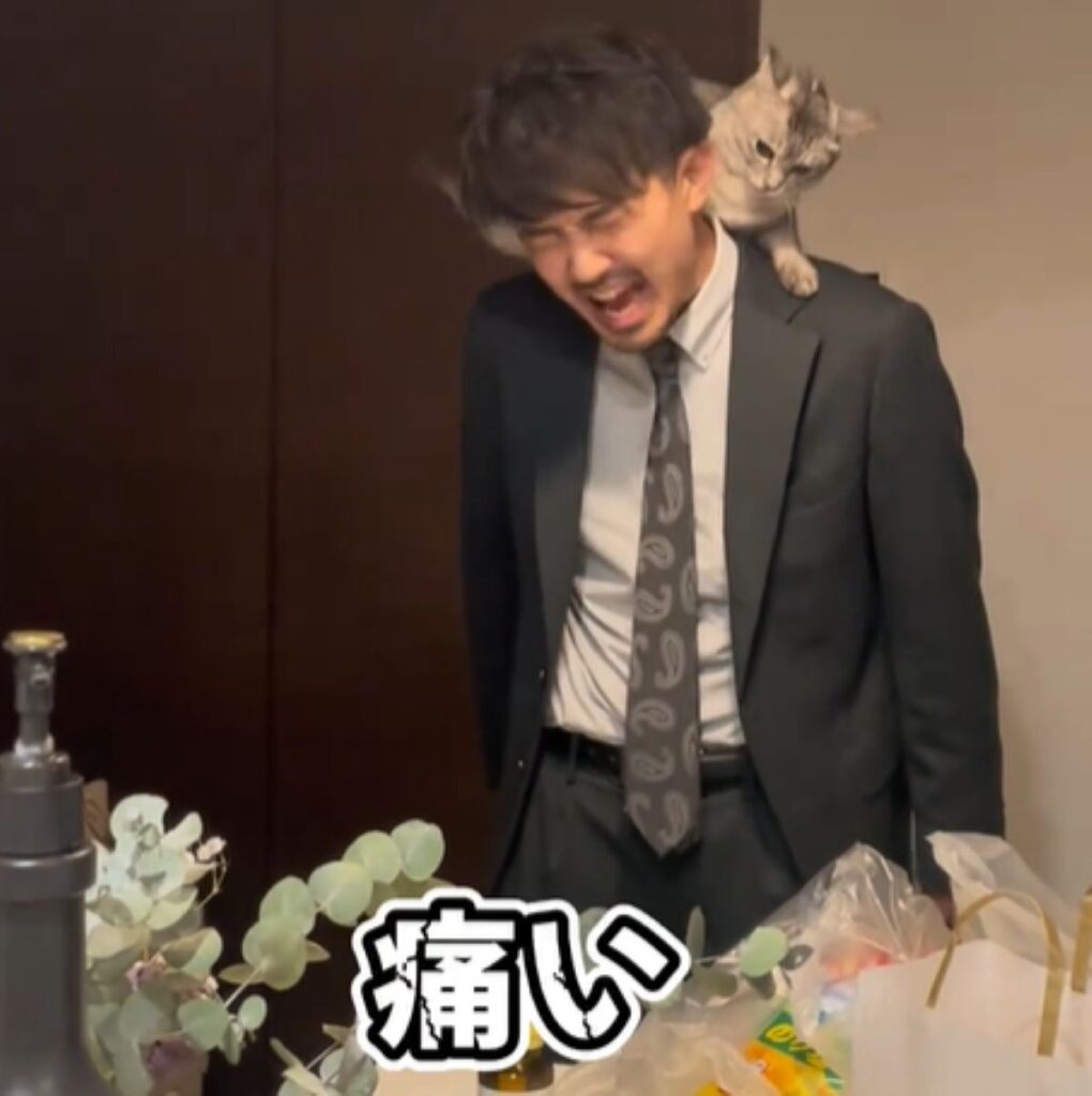 噛みついてしまったてぃびちゃん（＠mananekonikkiさんより提供）