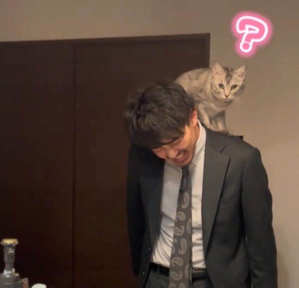 不思議そうな表情のてぃびちゃん（＠mananekonikkiさんより提供）