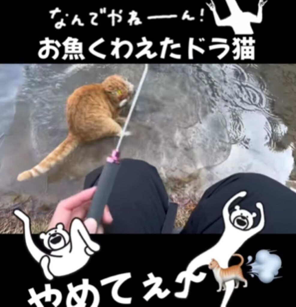 【実際の写真5枚】　足元の様子