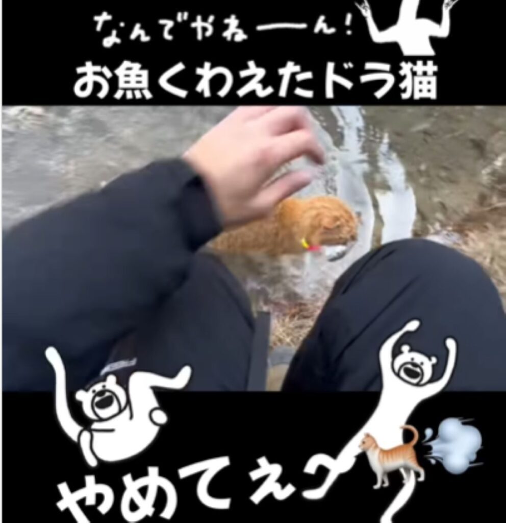 逃げようとする猫ちゃん（＠yuri___fujiiさんより提供）