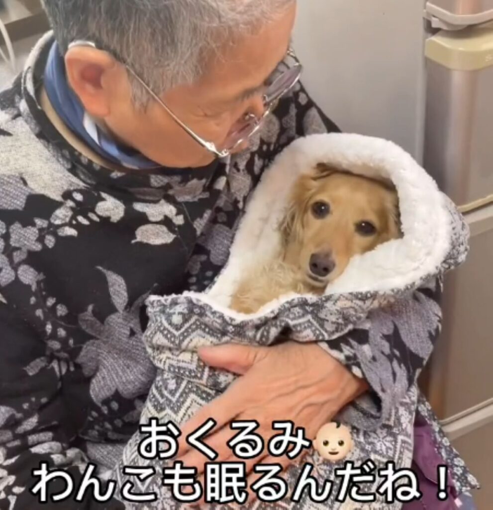【実際の写真5枚】　飼い主さんが見た光景