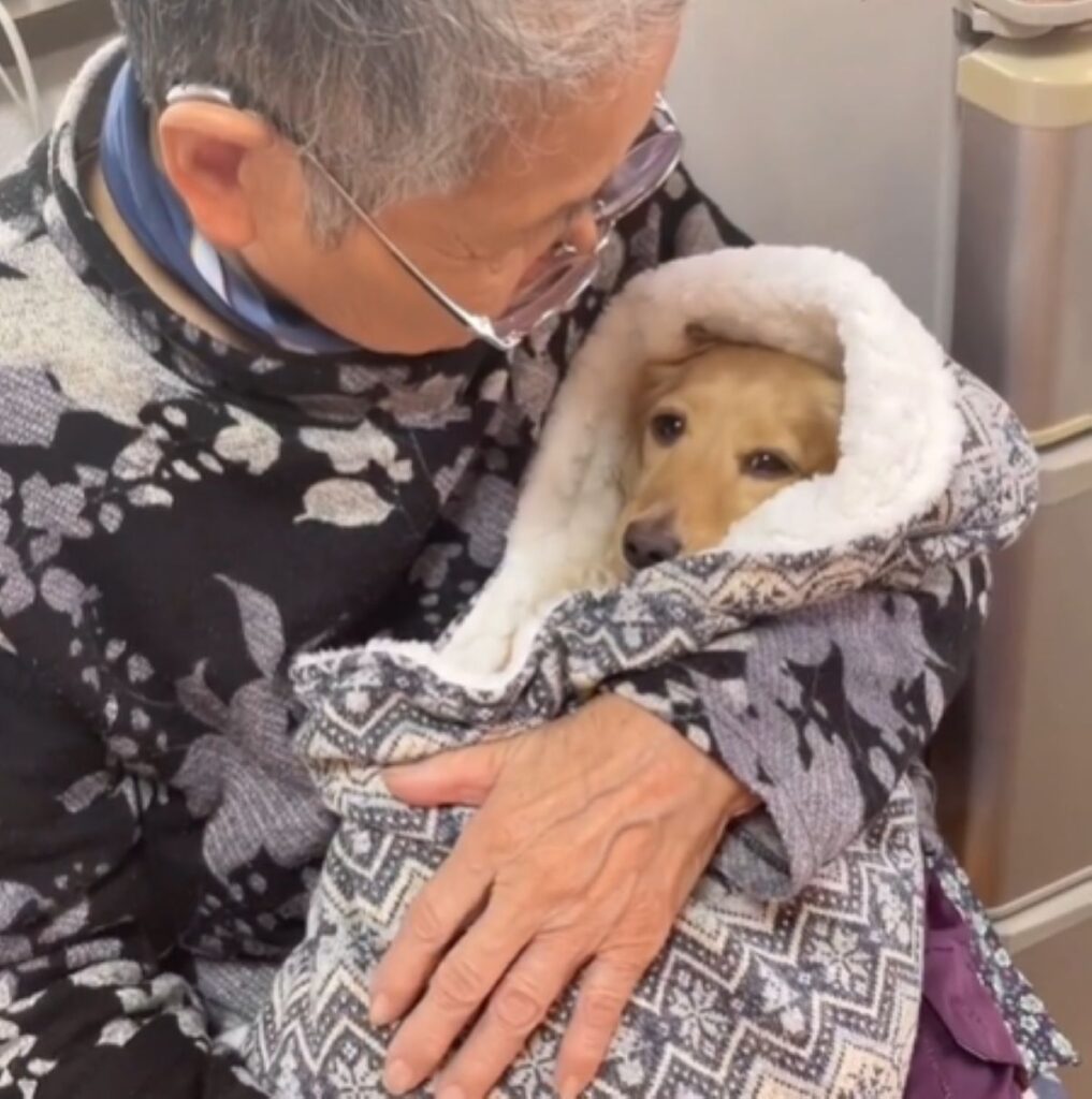 ウトウトするあむくん（＠amuamu_0815さんより提供）