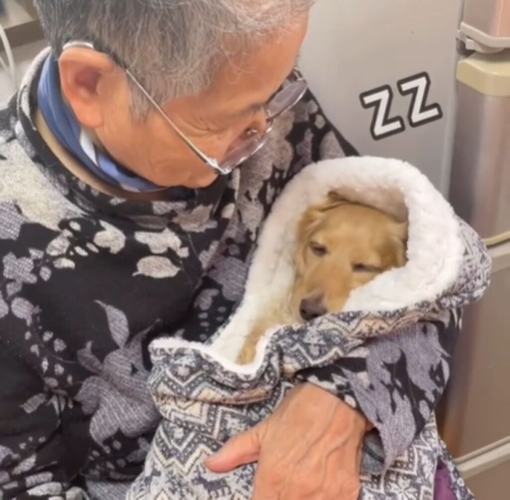 寝てしまったかな？（＠amuamu_0815さんより提供）