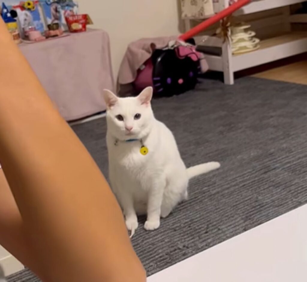 幸吉くんは、じっと待っていました（＠user5252430348026さんより提供）