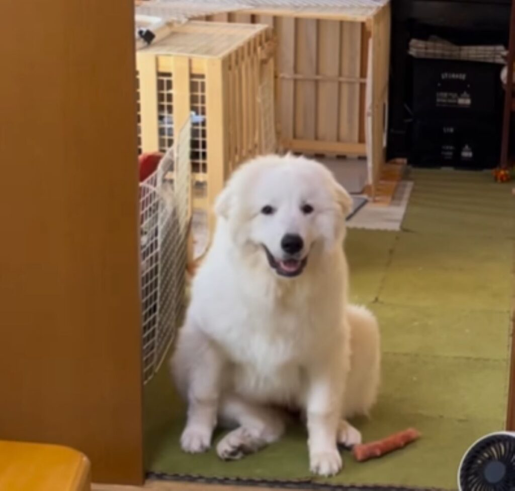 半年経つと…（＠doremi_noutaさんより提供）