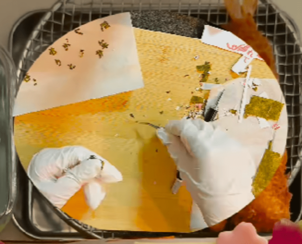 【実際の写真5枚】　完成したお弁当