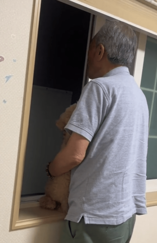 【実際の写真5枚】　投稿者さんが見た光景