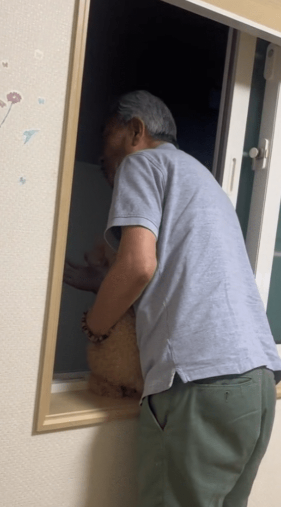 一緒にのぞき込むおじいちゃん（@adorable_sonさんより提供）