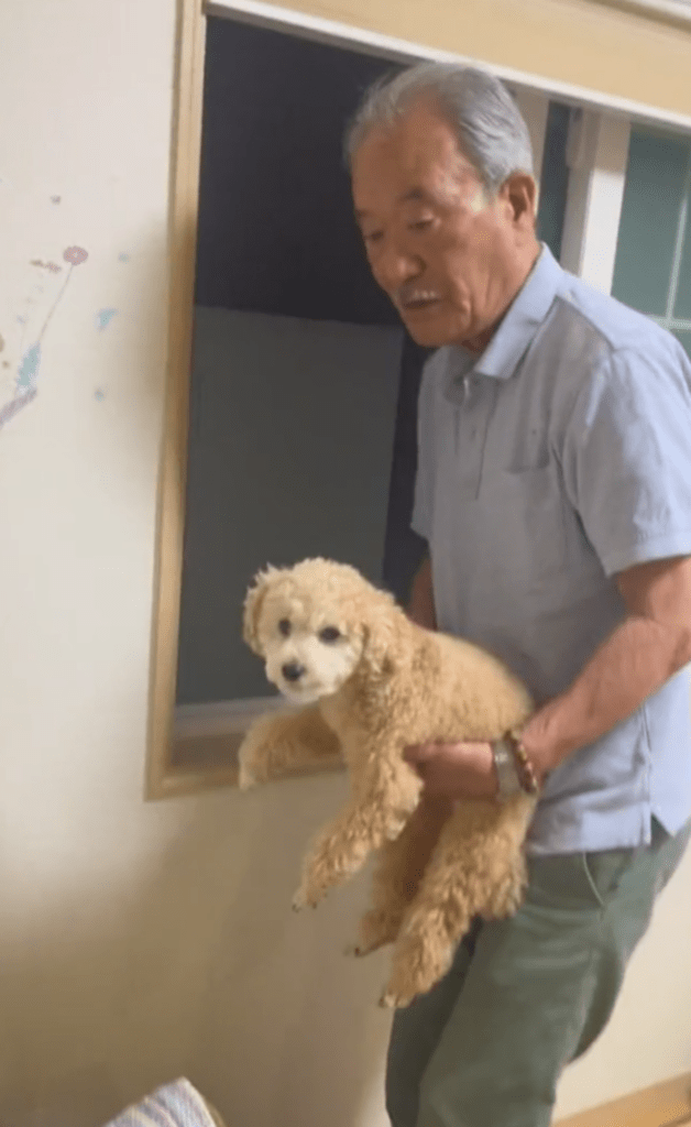 どこか寂しそうな2人（@adorable_sonさんより提供）