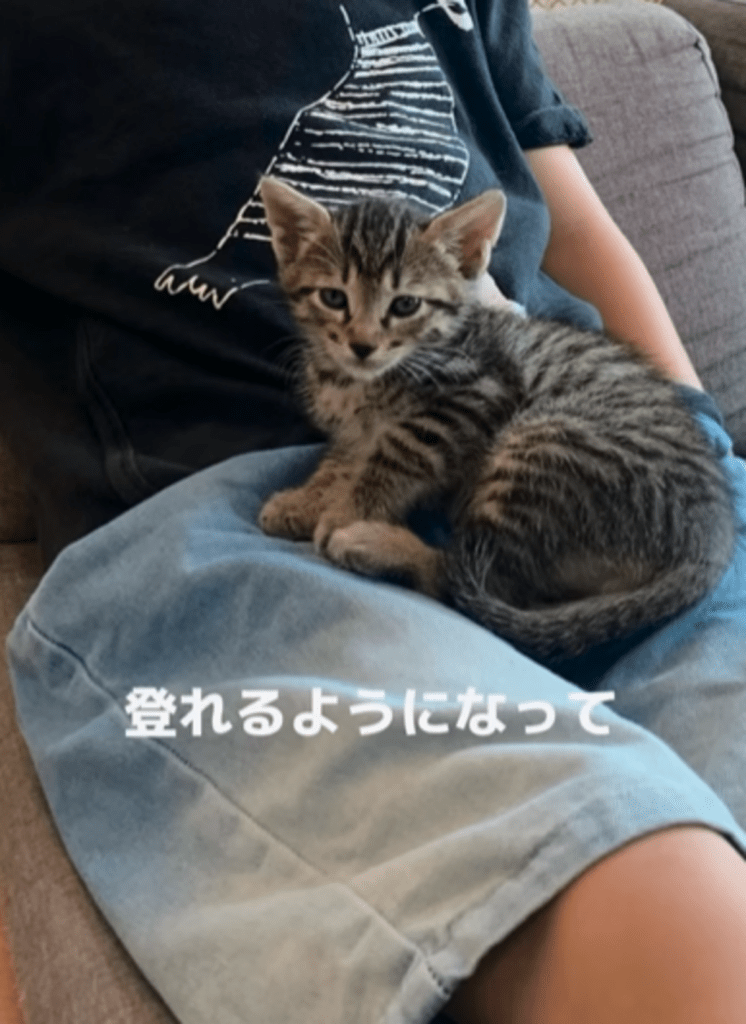 生後1ヶ月のzozoくん（@zozo_yaaanさんより提供）