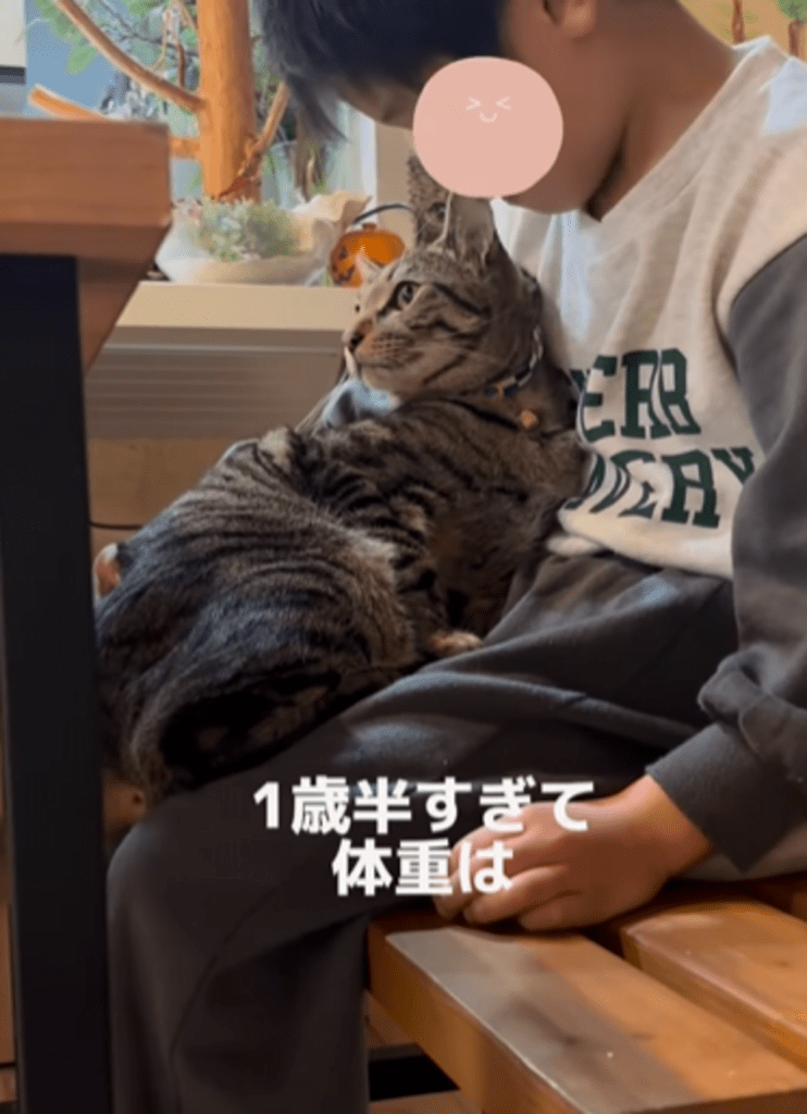 1歳半を過ぎても変わらぬ甘えん坊ぶり（@zozo_yaaanさんより提供）