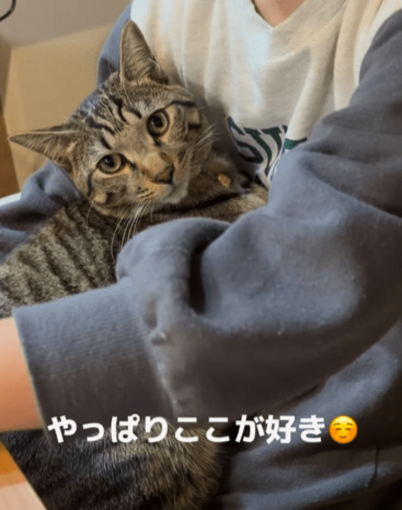 やっぱりここが好き（@zozo_yaaanさんより提供）