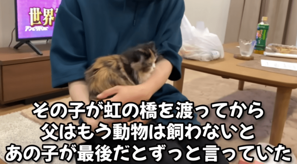 お父さんが怒った理由は…（@こなつライフさんより提供）