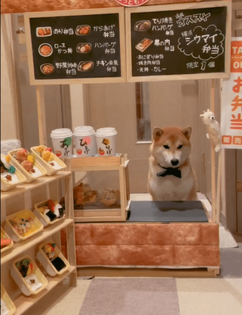 ワンちゃんが店員のお弁当屋さん！？（@suzuki_kuritaroさんより提供）