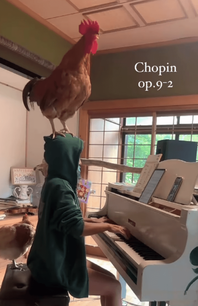 【実際の写真5枚】　頭の上の様子