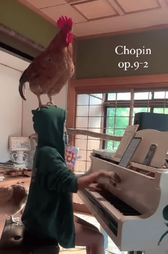 「乗る？」と誘われれば、「乗る！」（@piayano2017さんより提供）